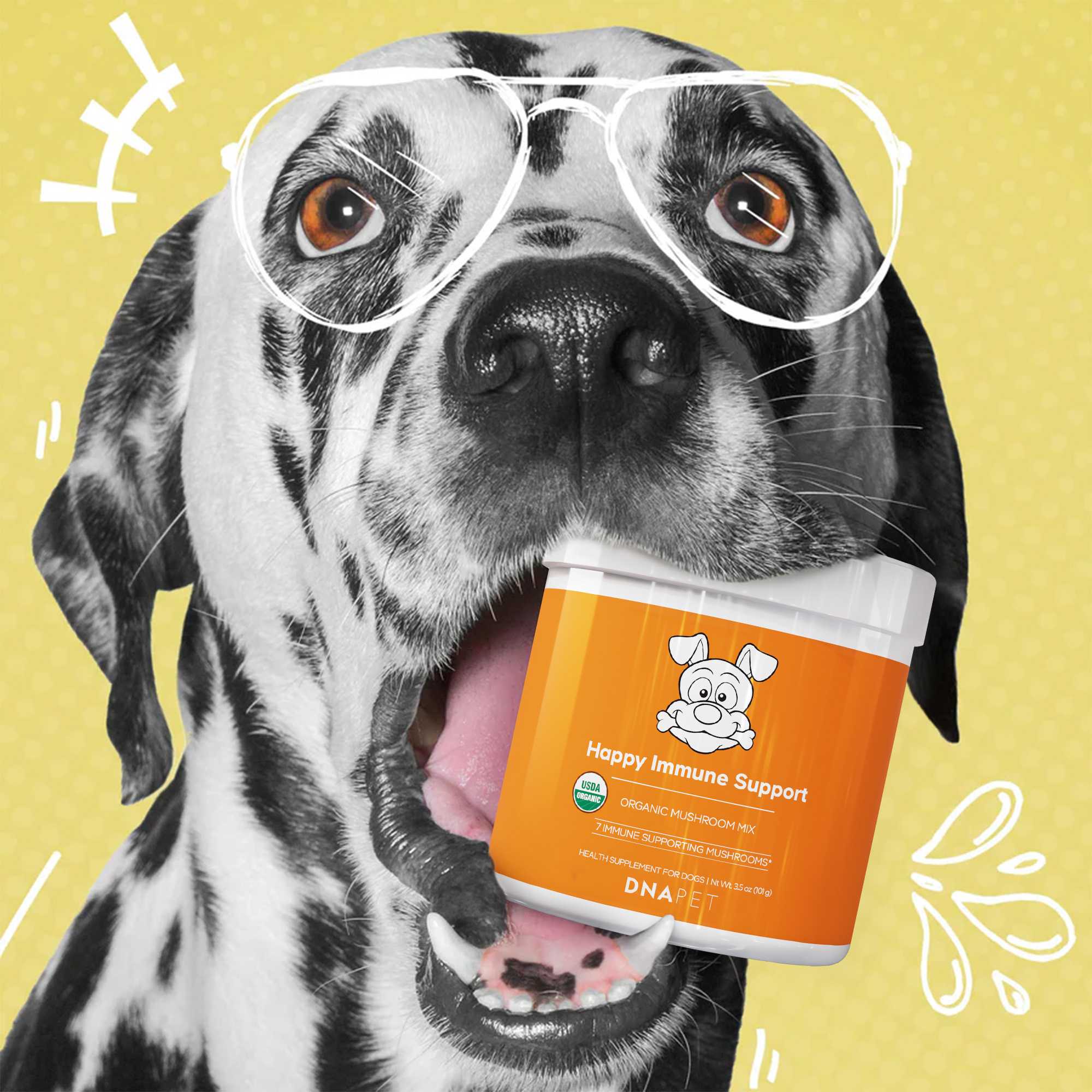 DNA PET Happy Immune Support USDA Certified Organic - Image 4