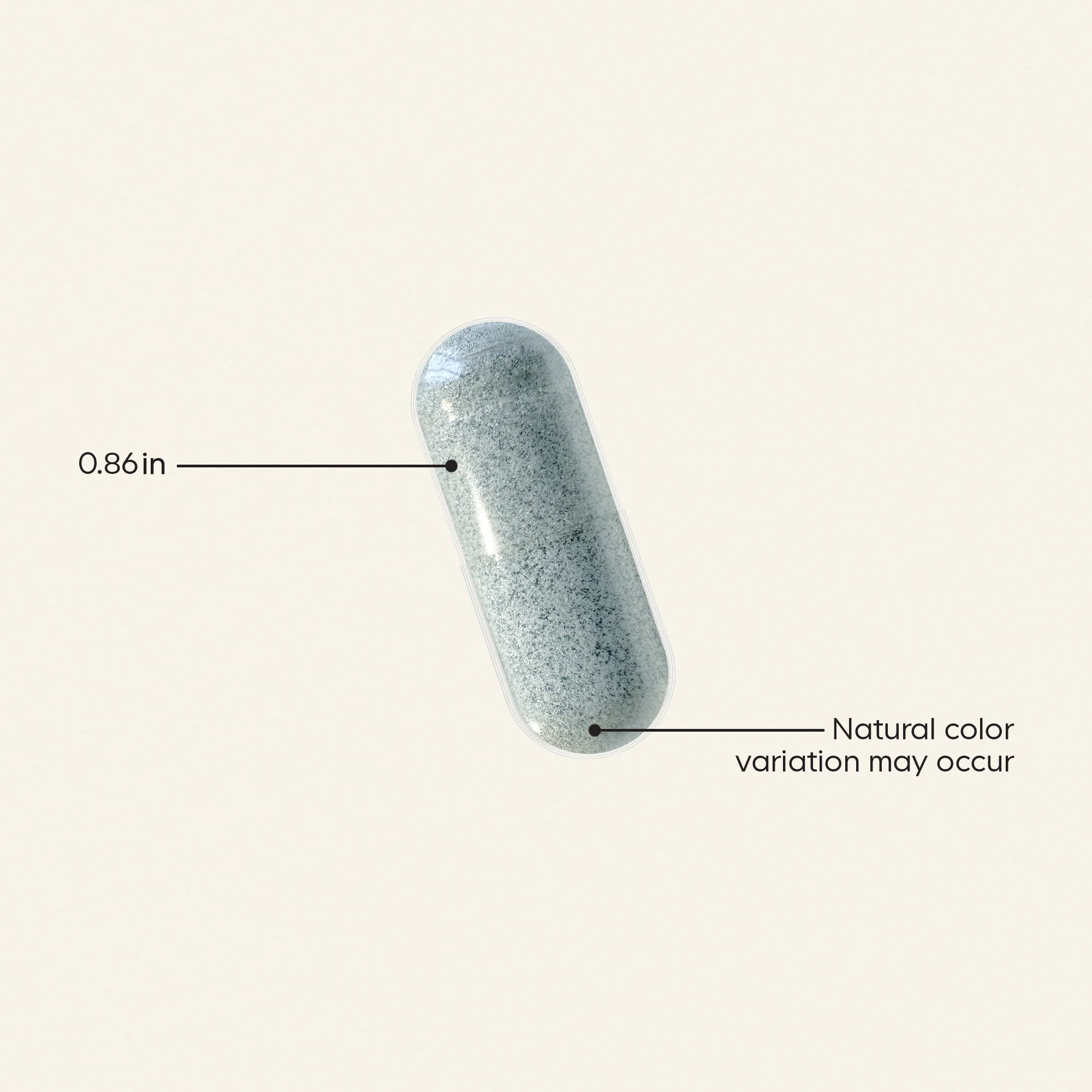 Gut Health Formula - Image 5