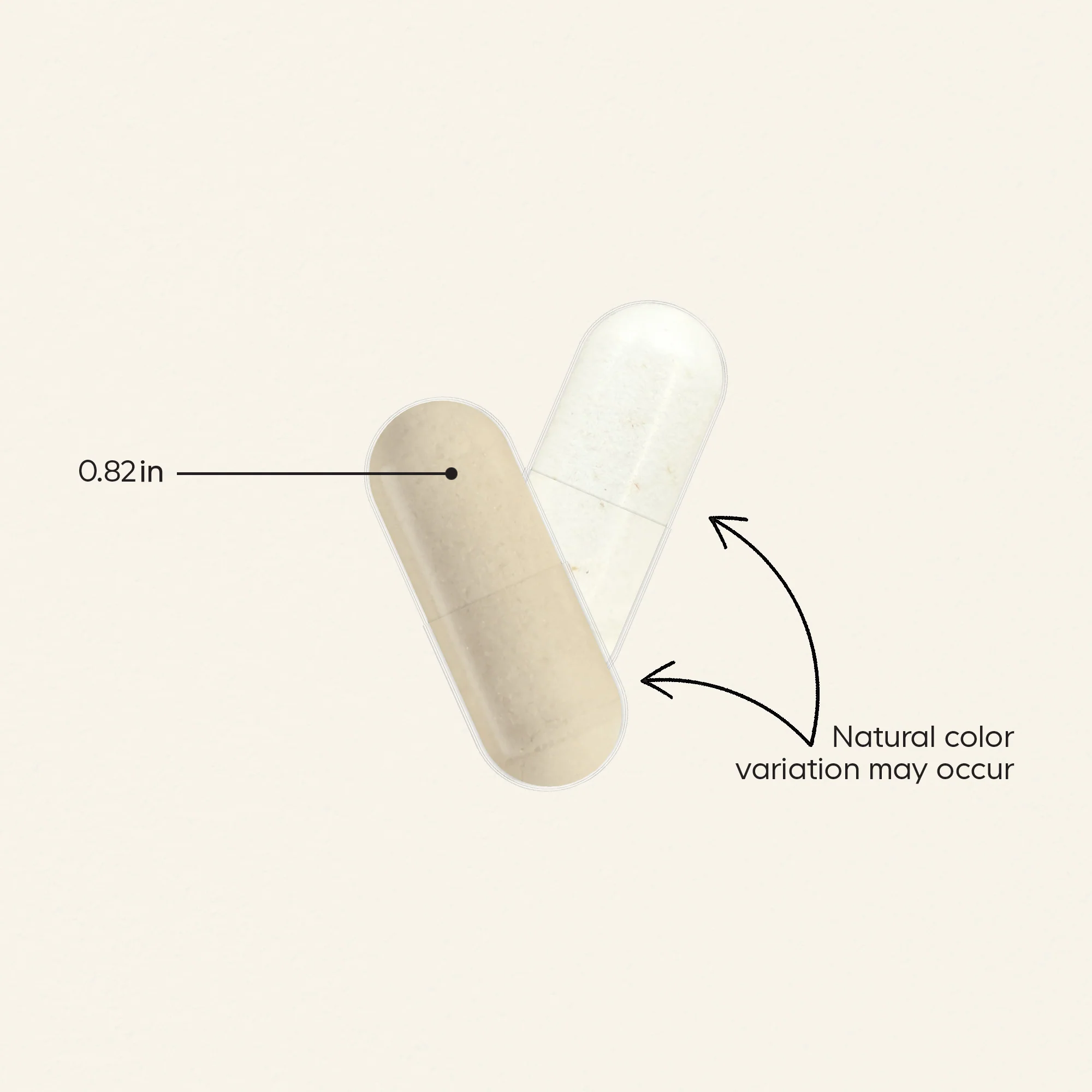 Men's Daily Probiotic - Image 5