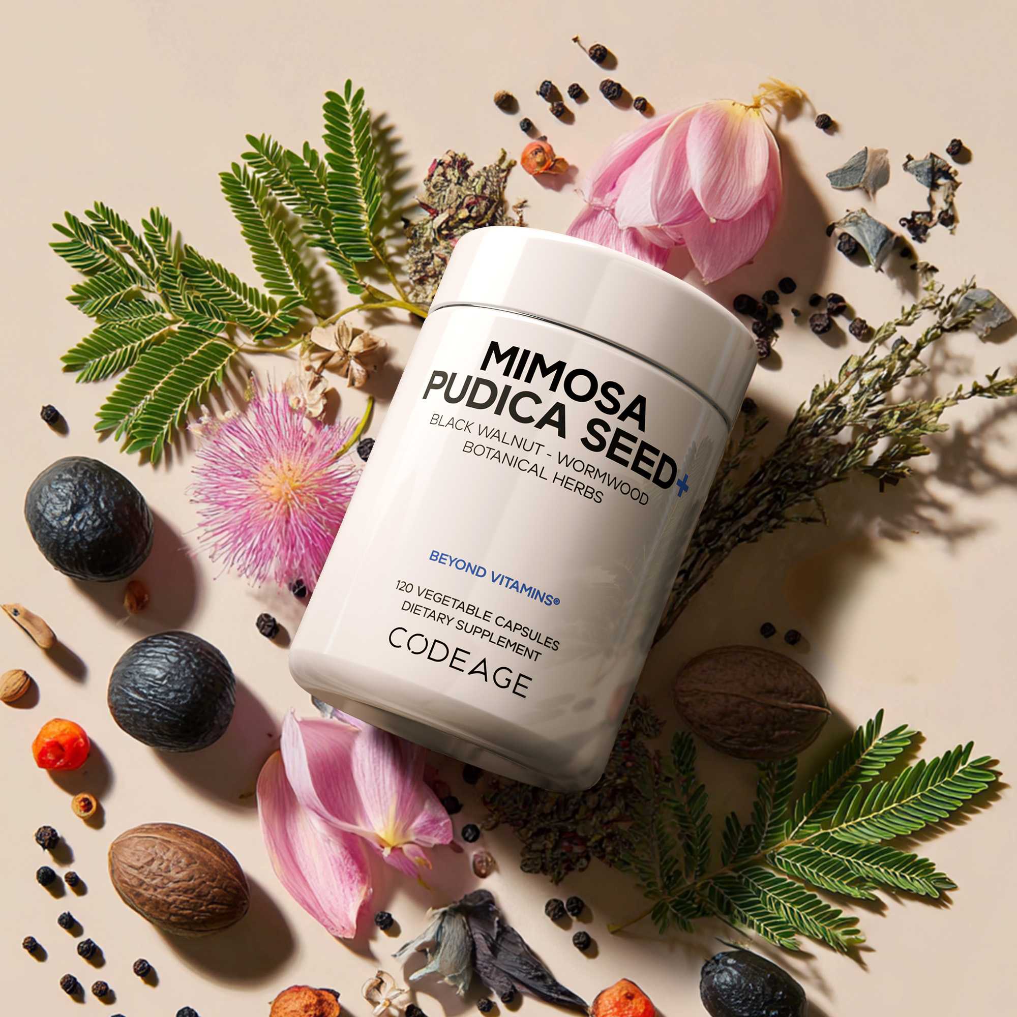 Mimosa Pudica Seed + Capsules - Image 3