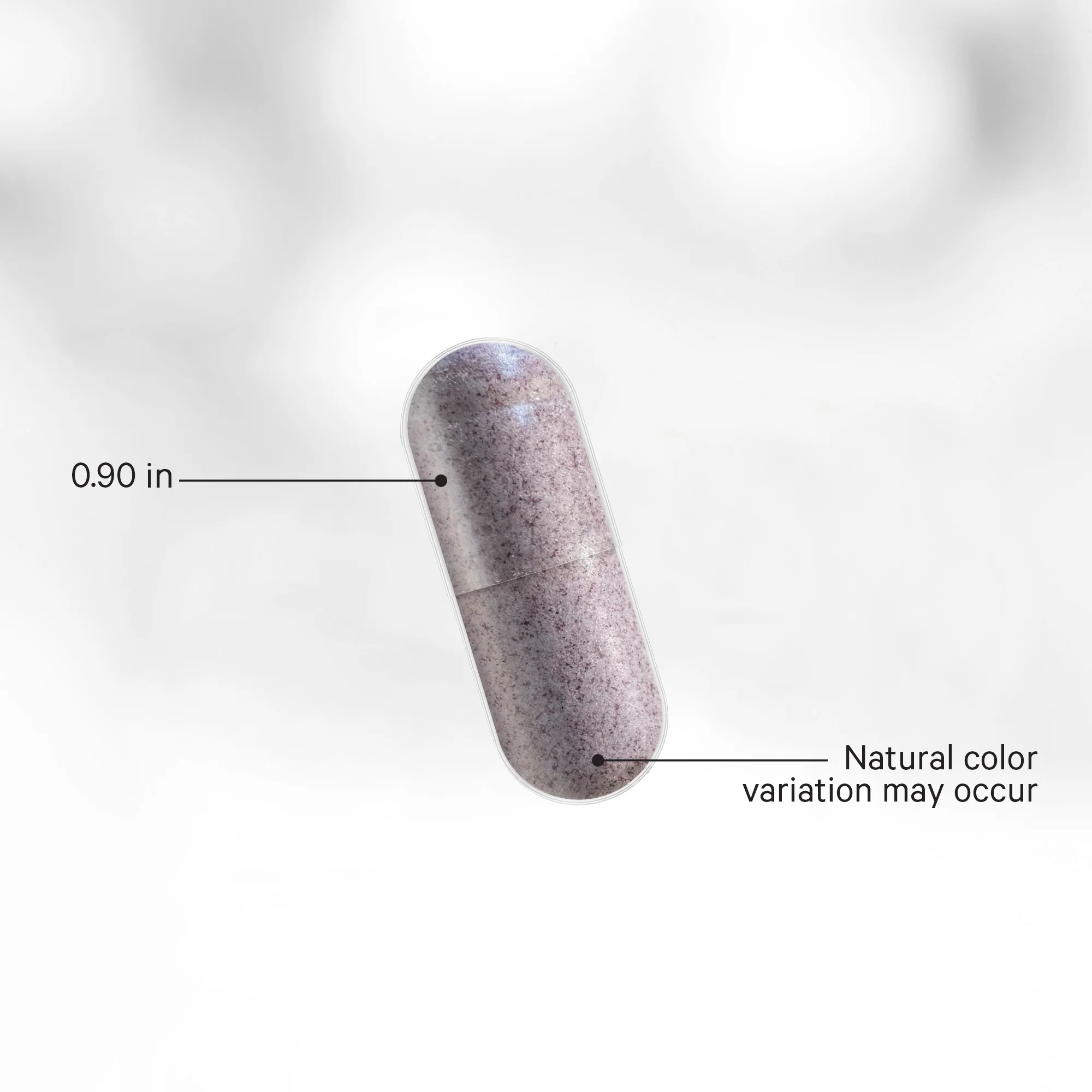 Organic Black Elderberry Vitamins Capsules - Image 4