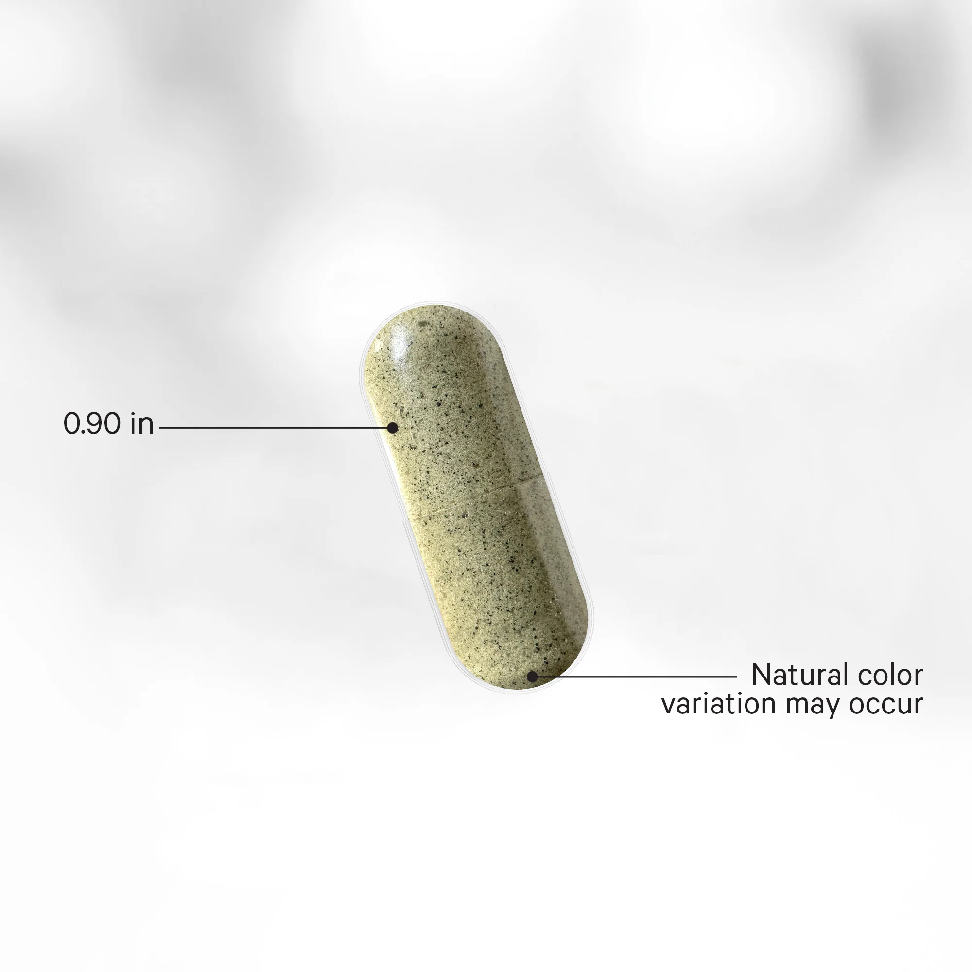 Raw Wildcrafted Sea Moss CA - Image 4