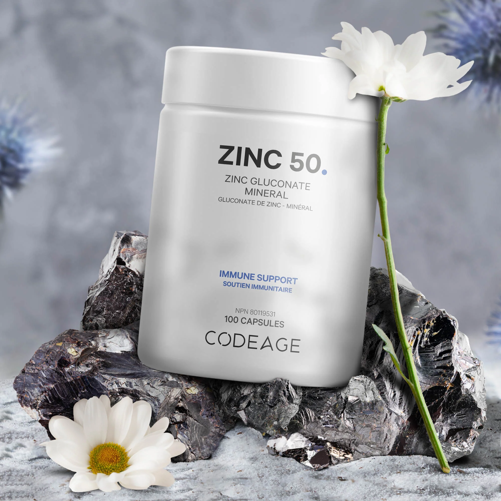 Zinc 50 CA - Image 3